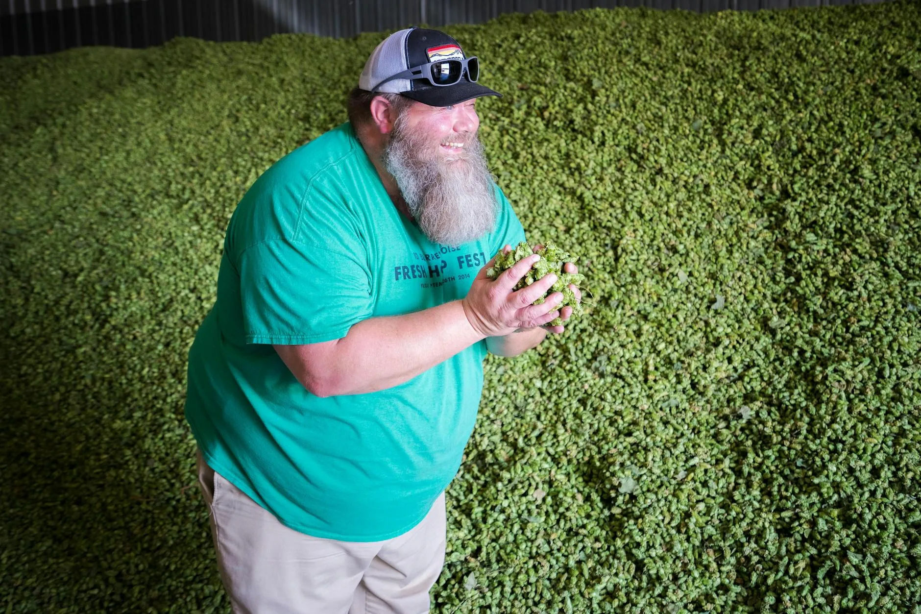 Brewing ingredients including hops malt and grain