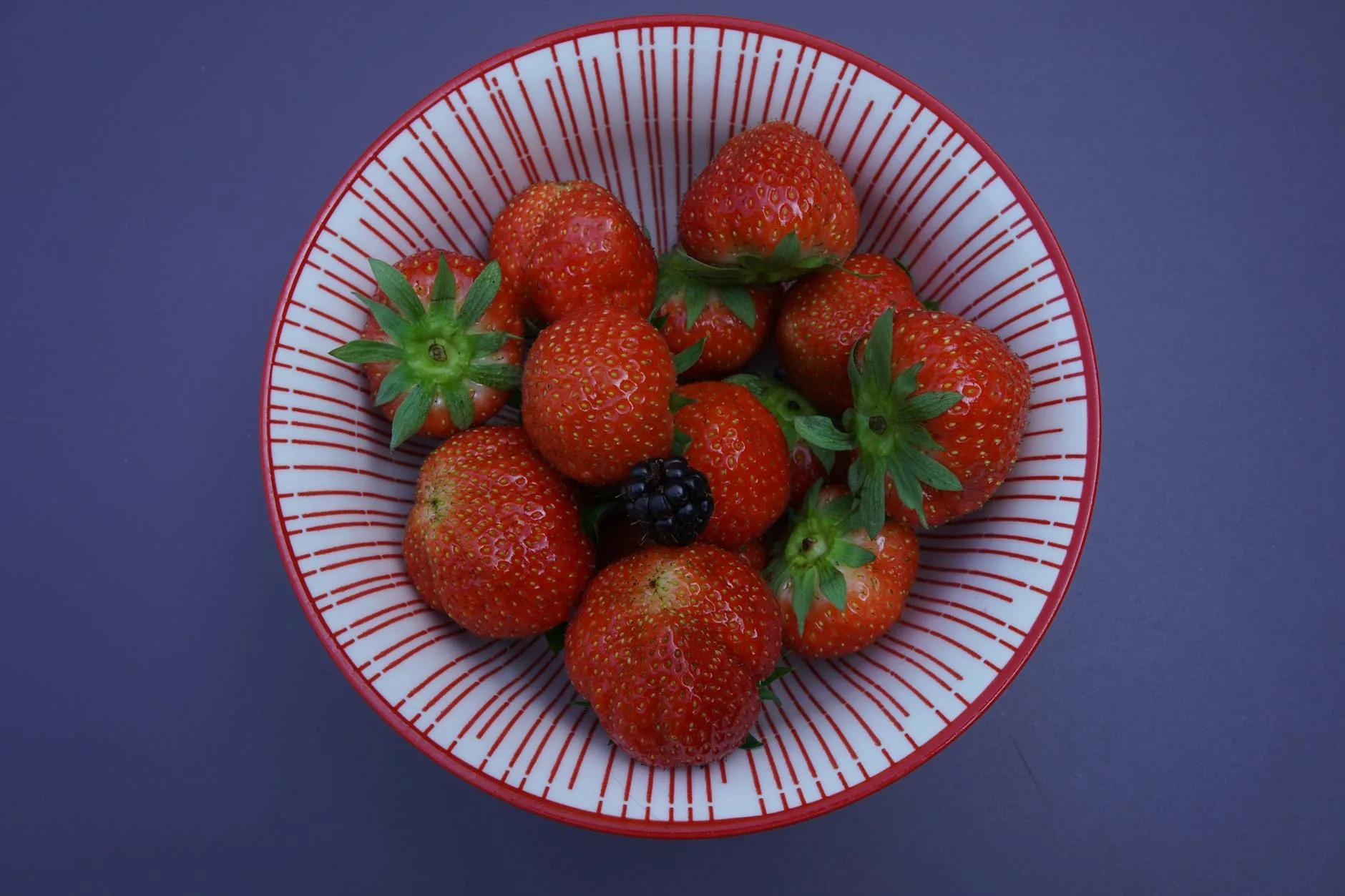 Fresh berries in a bowl — ideal fruit for homemade wine