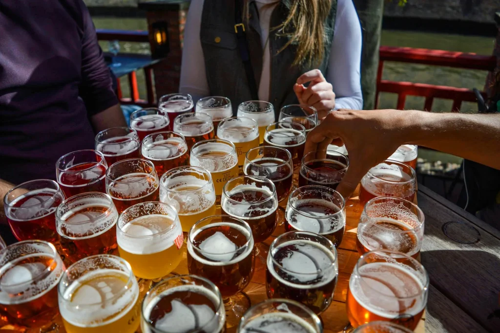 Row of beer glasses lined up for tasting at a homebrew competition