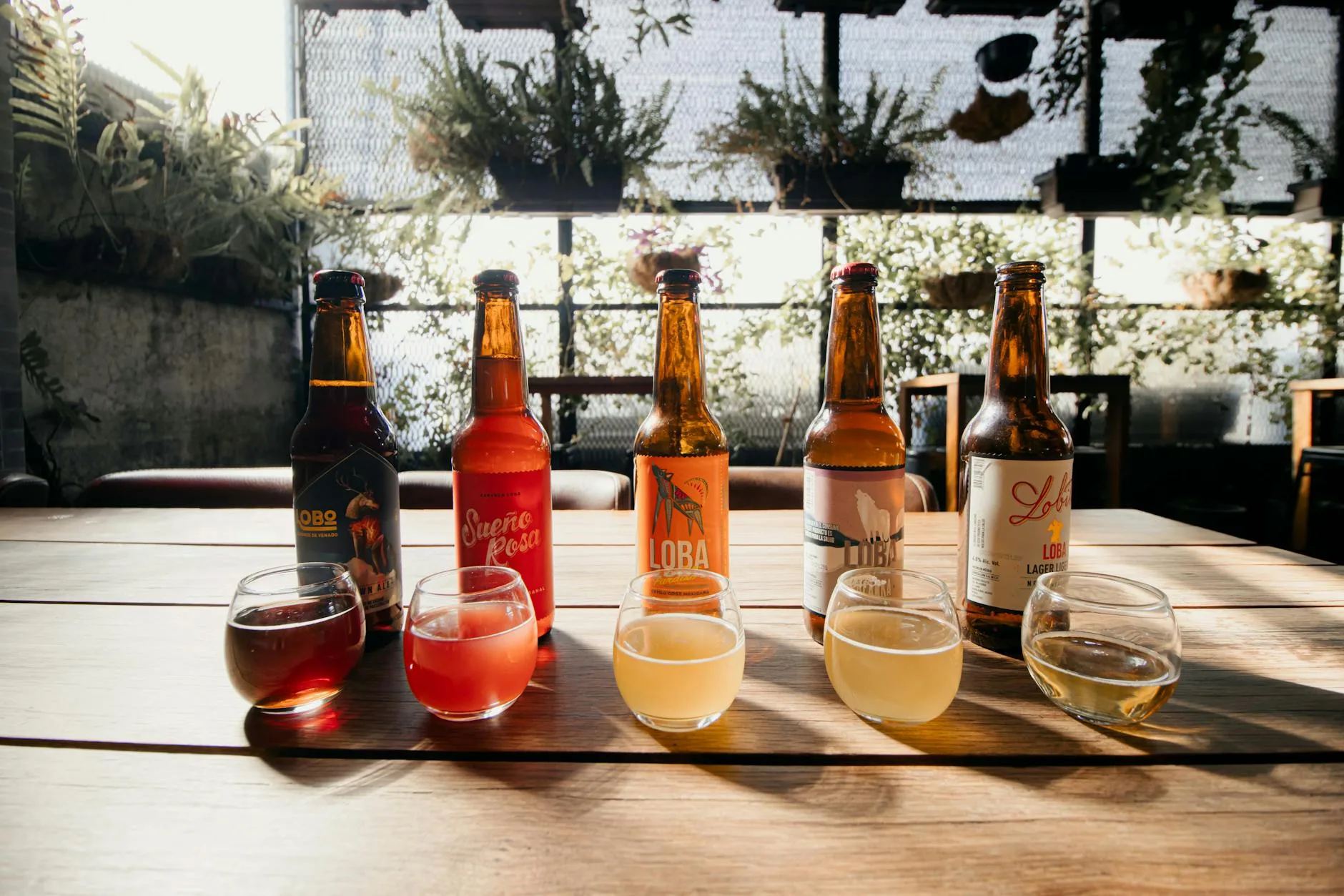 Selection of homebrew craft beers in glasses for tasting