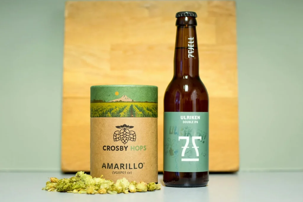Homebrew beer ingredients including grain, hops and yeast