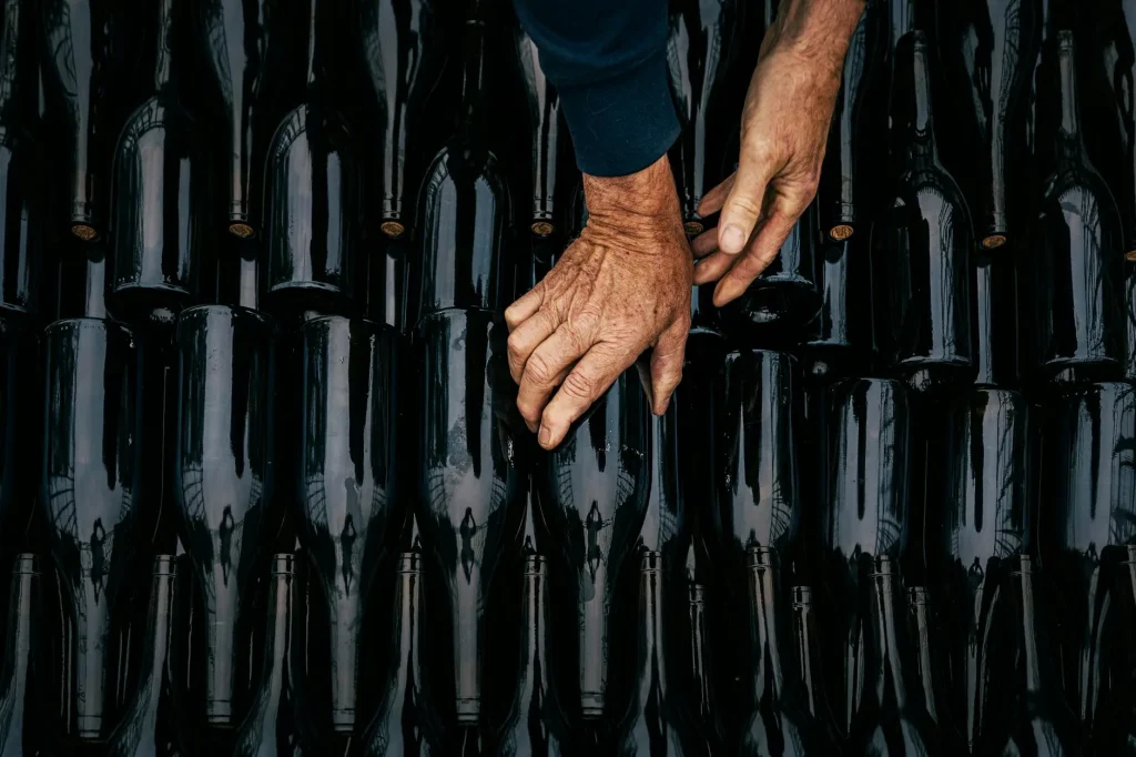 Homemade fruit wine bottles and demijohn in a kitchen