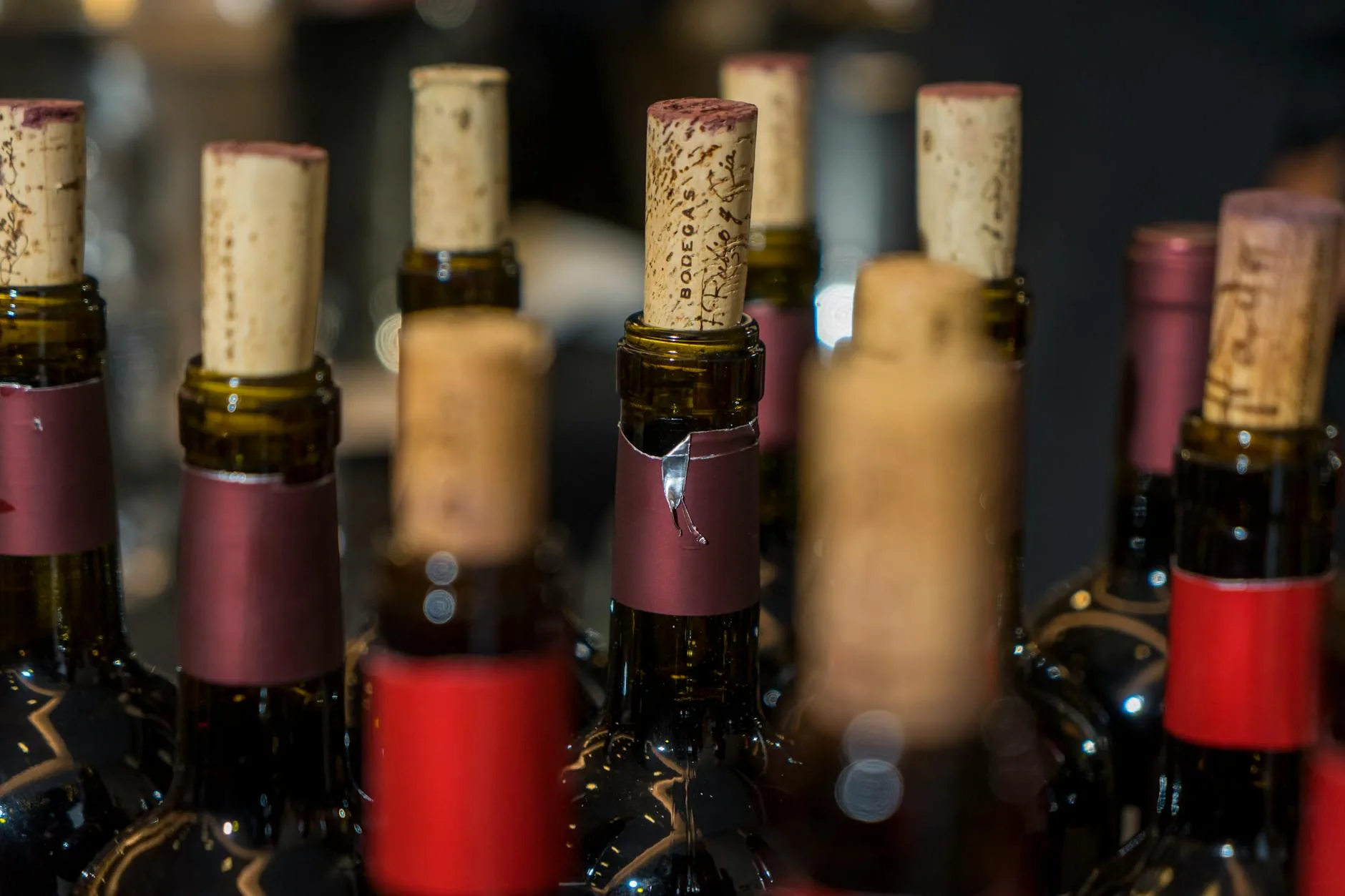 Bottles of homemade fruit wine corked and ready for ageing