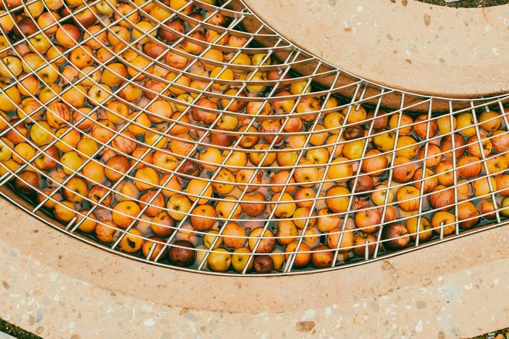 Fresh apples in a basket ready for pressing into cider