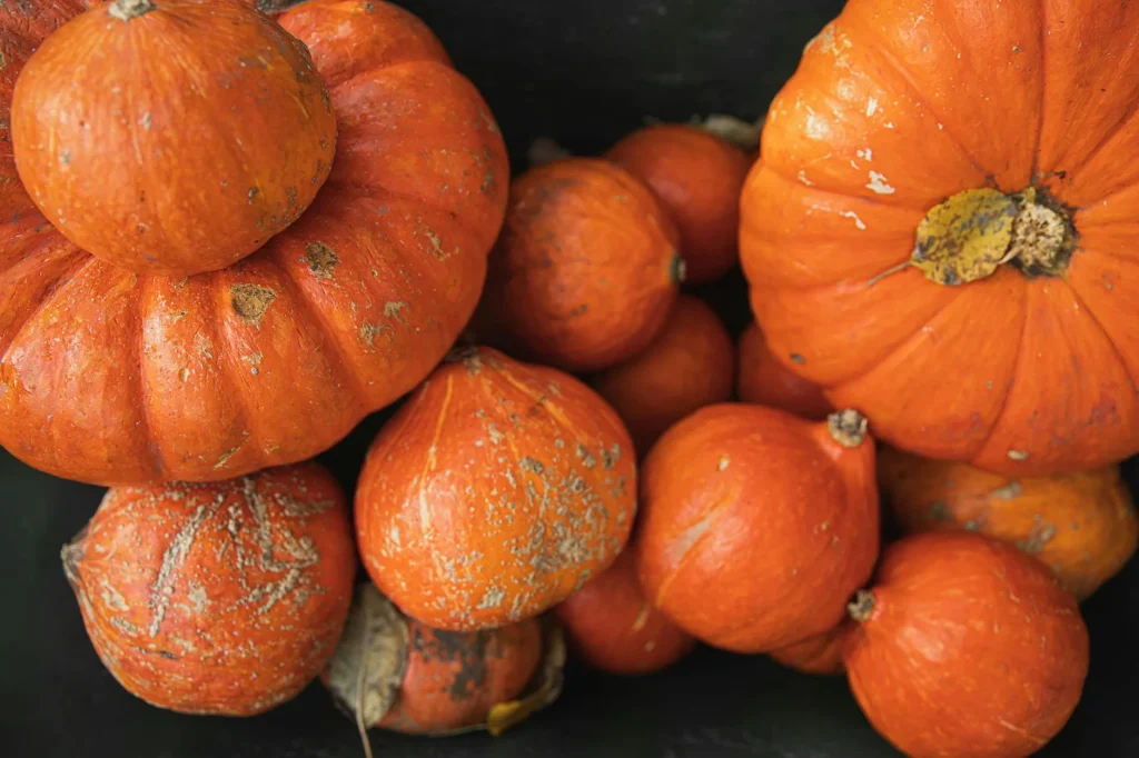 Seasonal harvest produce including pumpkins and autumn vegetables