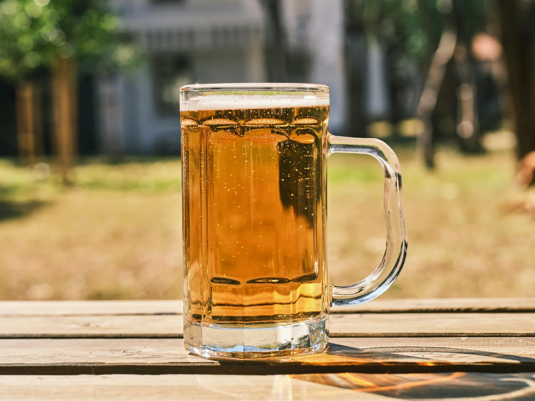Cold beer in a glass in a sunny garden setting during summer