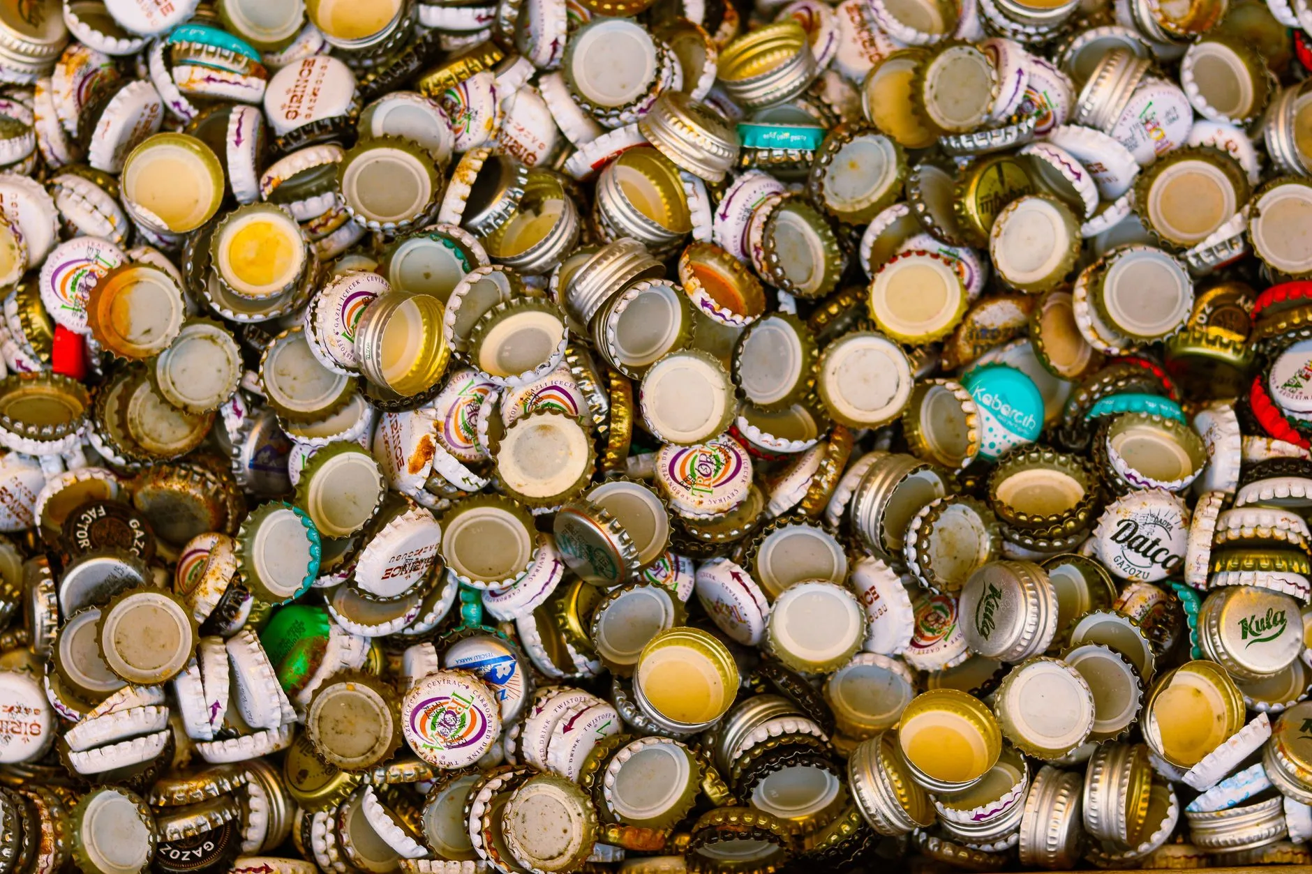 Bottle caps and capper ready for homebrew bottling